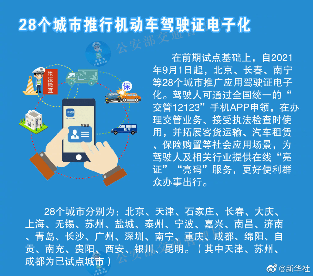 新澳天天资料资料大全272期,精选解释解析落实高端版250.290