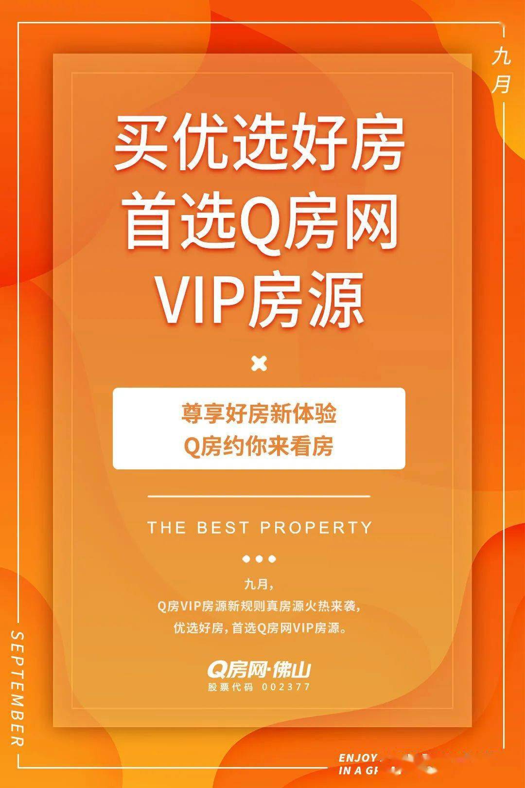 新澳门最准一肖,精选解释解析落实VIP版240.300