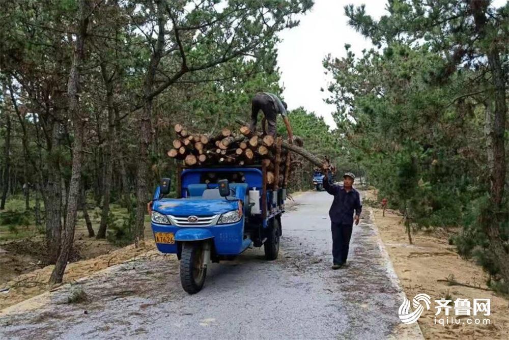 广东省南海新区，繁荣发展的前沿阵地简介概况