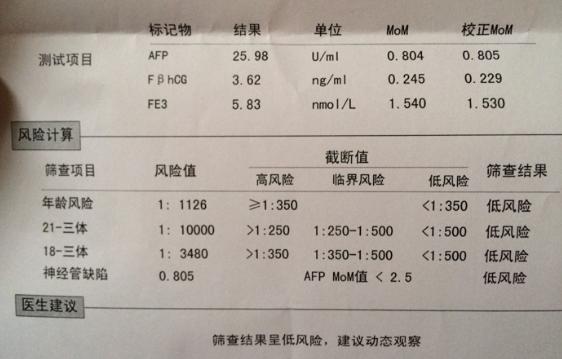 简报 第316页