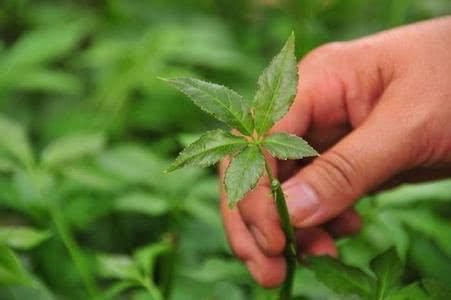 婴儿奶量与成长，各个月龄的婴儿奶量详解