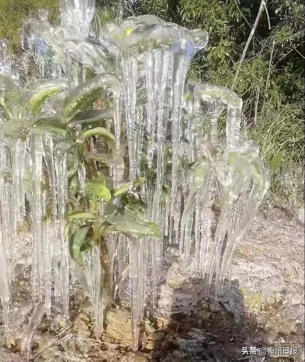 广东省梅州大埔县，自然美景与文化底蕴的完美融合