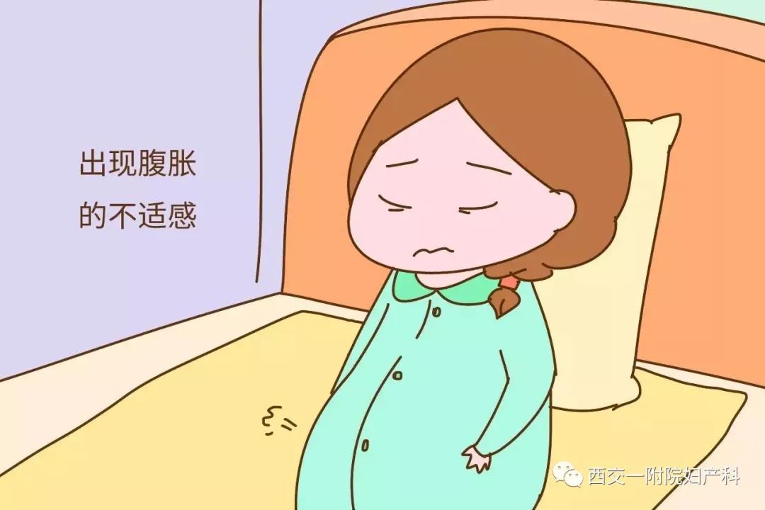 简报 第19页